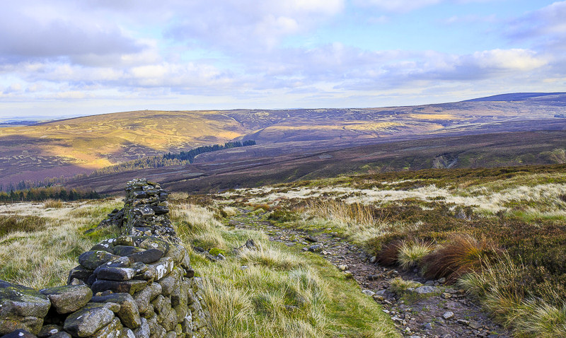 Berry Clough